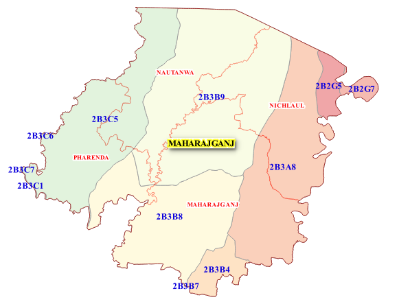 Land Scape : Maharajganj